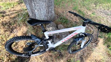 Used Canyon Nerve SRAM NX Eagle 2011 Mountainbike, White — image 4 of 10