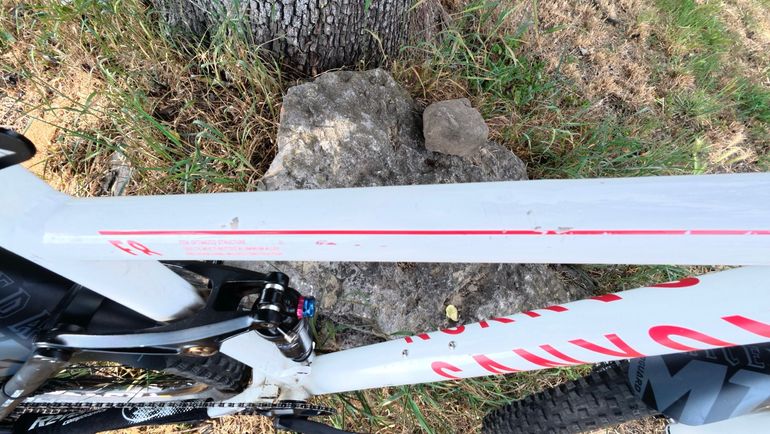 Canyon Nerve SRAM NX Eagle 2011 Mountainbike d'occasion — image 8 sur 10