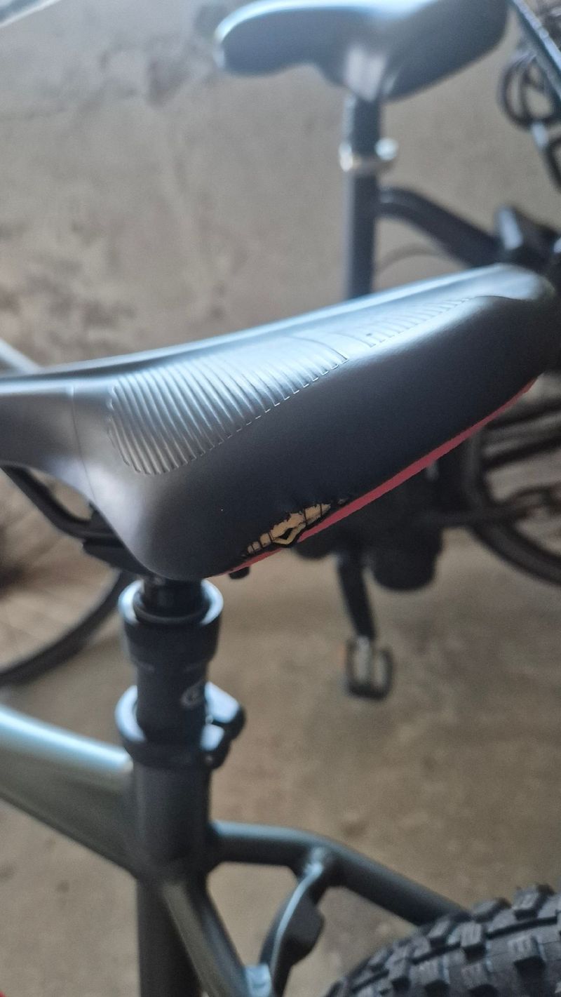 Used CUBE ANALOG 2021 2021 Mountainbike, Light Gray — image 11 of 12