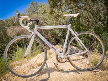 Peugeot Velo Shimano Dura Ace 2000 Road & Gravel d'occasion — image 5 sur 6