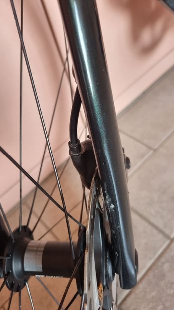 Used Specialized Tarmac SL7 Expert - Ultegra Di2 2022 2022 Road & Gravel, Green — image 4 of 7