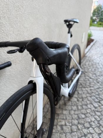 Used Trek Madone SL 6 Gen 8 2025 2025 Road & Gravel, White — image 17 of 26