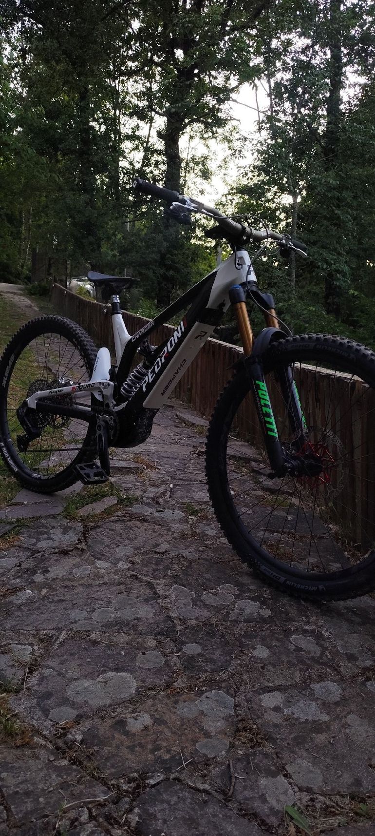 Used Pedroni Custom SRAM GX Eagle AXS (T-Type) 2024 Mountainbike, Black — image 5 of 6