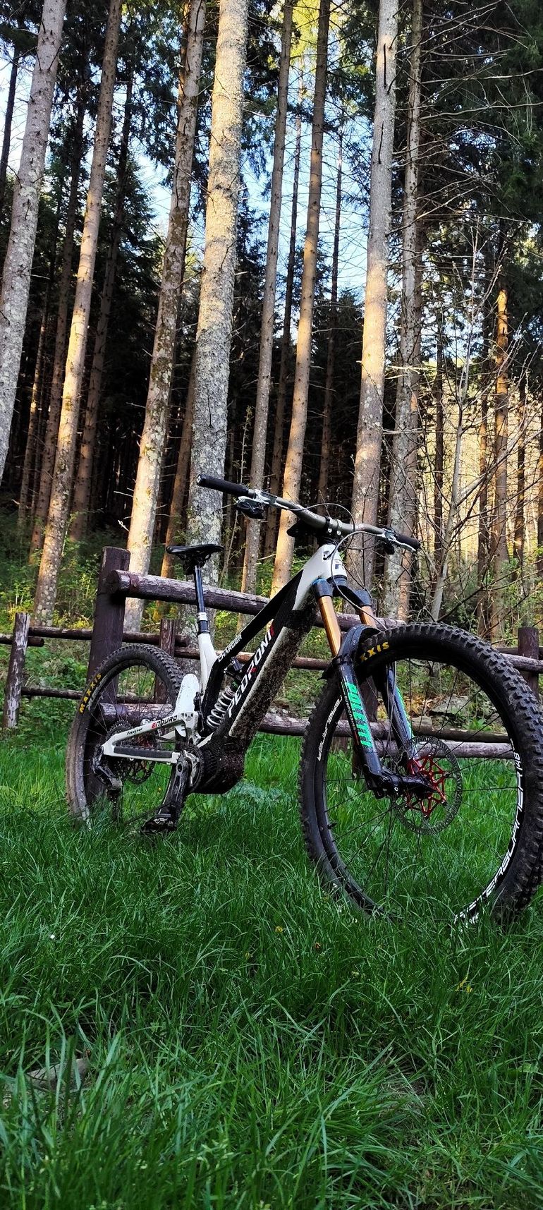 Used Pedroni Custom SRAM GX Eagle AXS (T-Type) 2024 Mountainbike, Black — image 3 of 6