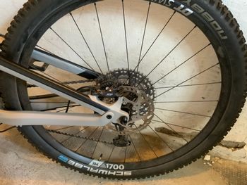 Tweedehands Canyon Neuron CF9 2021 Mountainbike — afbeelding 6 van 14