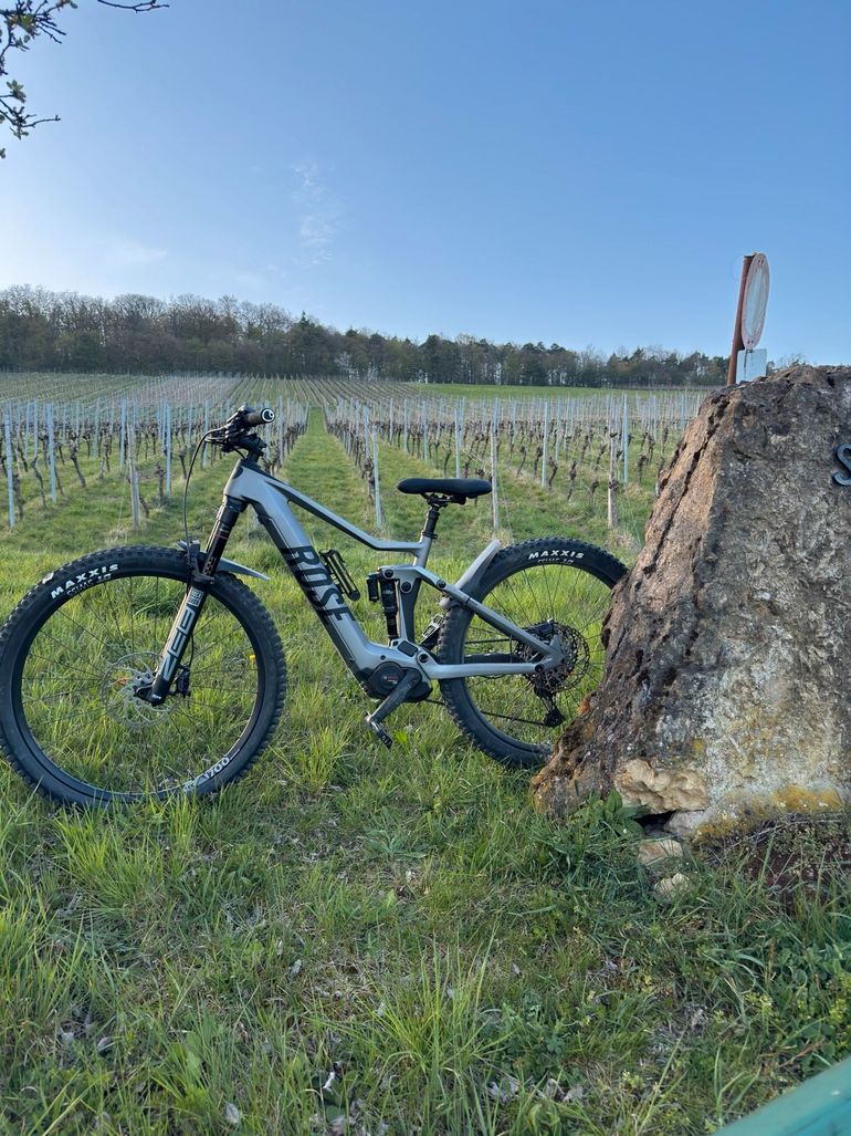 Brugt Rose Root Miller Plus 3 2024 2024 Mountainbike — billede 5 af 6