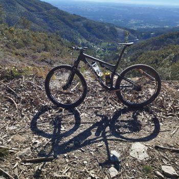 Used Specialized epic Custom Shimano Deore XT 2023 Mountainbike, Black, 29 — image 2 of 5