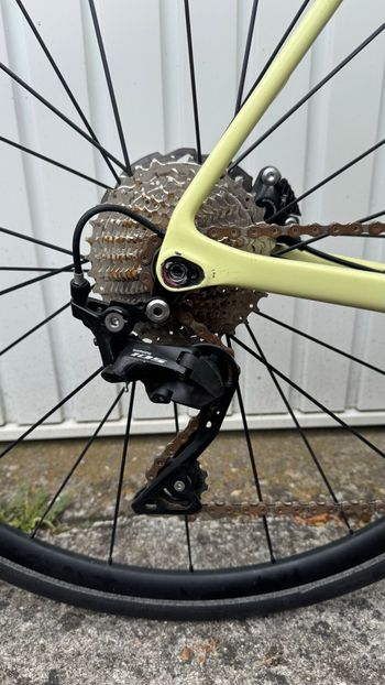 Used Canyon Endurace CF SL 7 Disc 2022 2022 Road & Gravel, Green — image 3 of 8