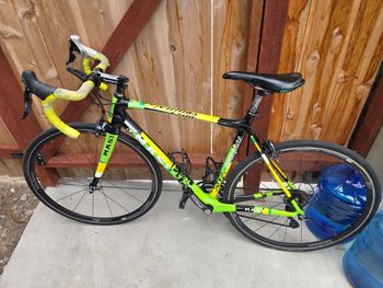 Used Masi 2015 Masi Evoluzione 105 Carbon 2015 Road & Gravel