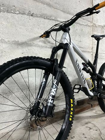 Used Canyon Spectral 29 AL 5 2023 2023 Mountainbike, Light Gray, 29 — image 12 of 13