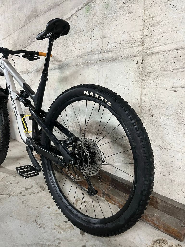 Used Canyon Spectral 29 AL 5 2023 2023 Mountainbike, Light Gray, 29 — image 13 of 13