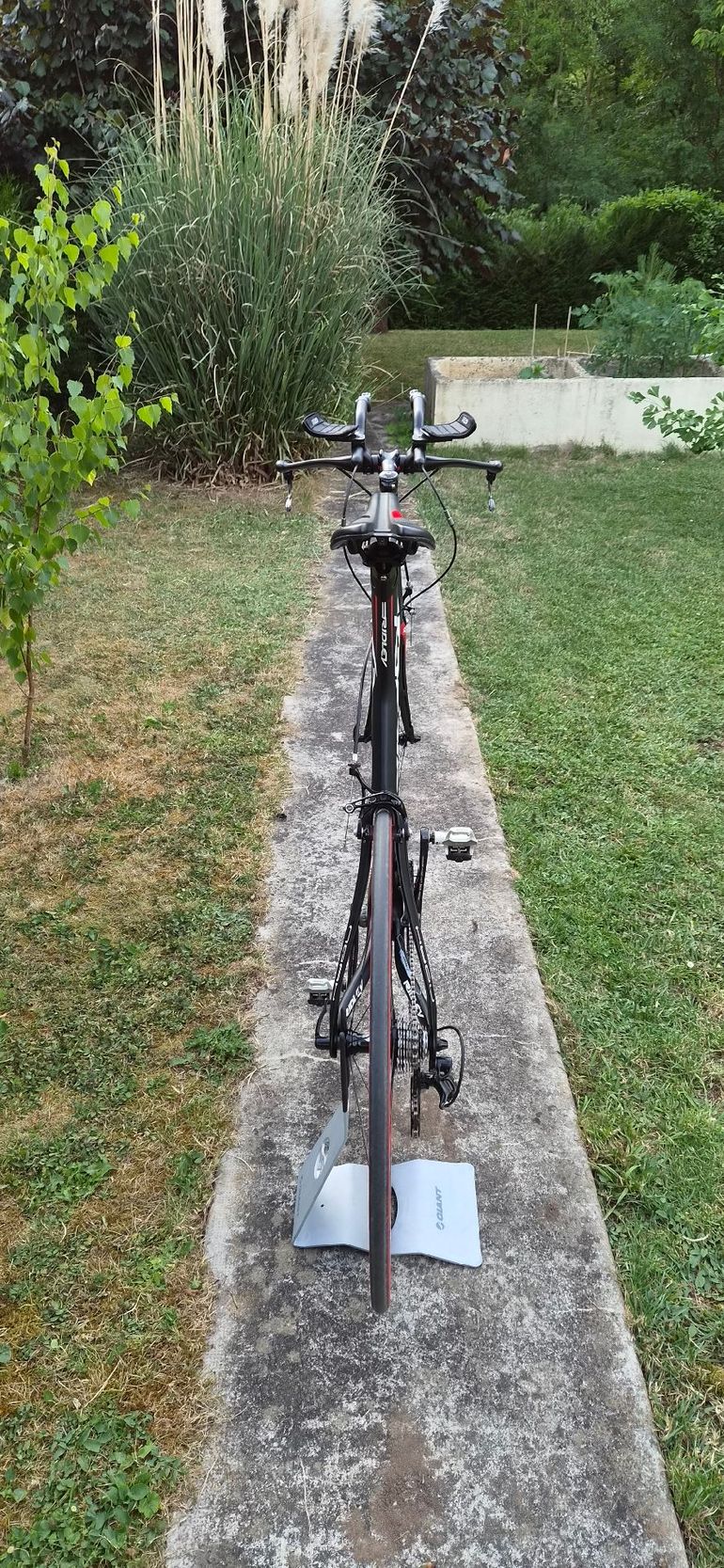 Used Ridley Noah Campagnolo Record 2012 Road & Gravel, Black — image 8 of 10