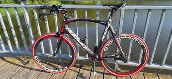 Used Ridley Noah Campagnolo Record 2012 Road & Gravel, Black — image 2 of 10