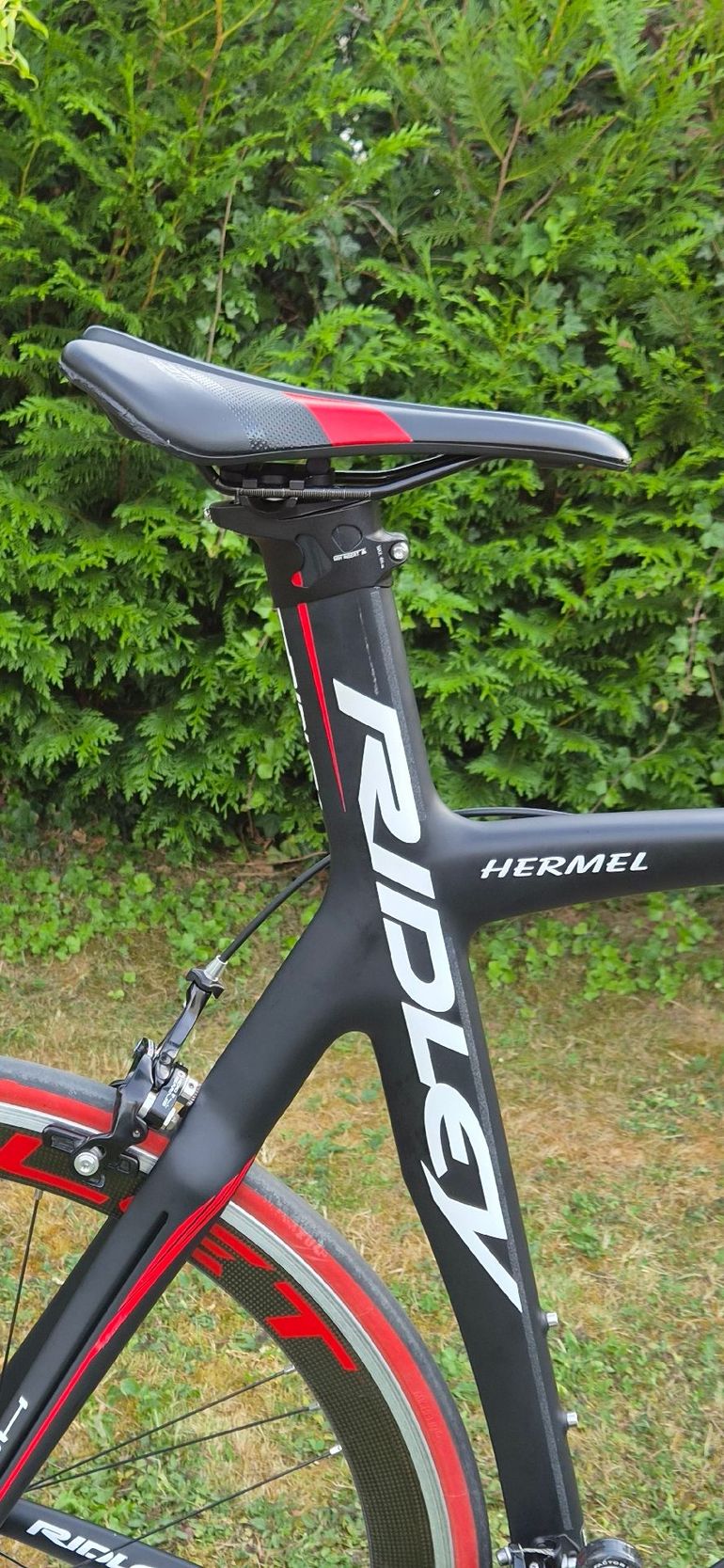 Used Ridley Noah Campagnolo Record 2012 Road & Gravel, Black — image 5 of 10