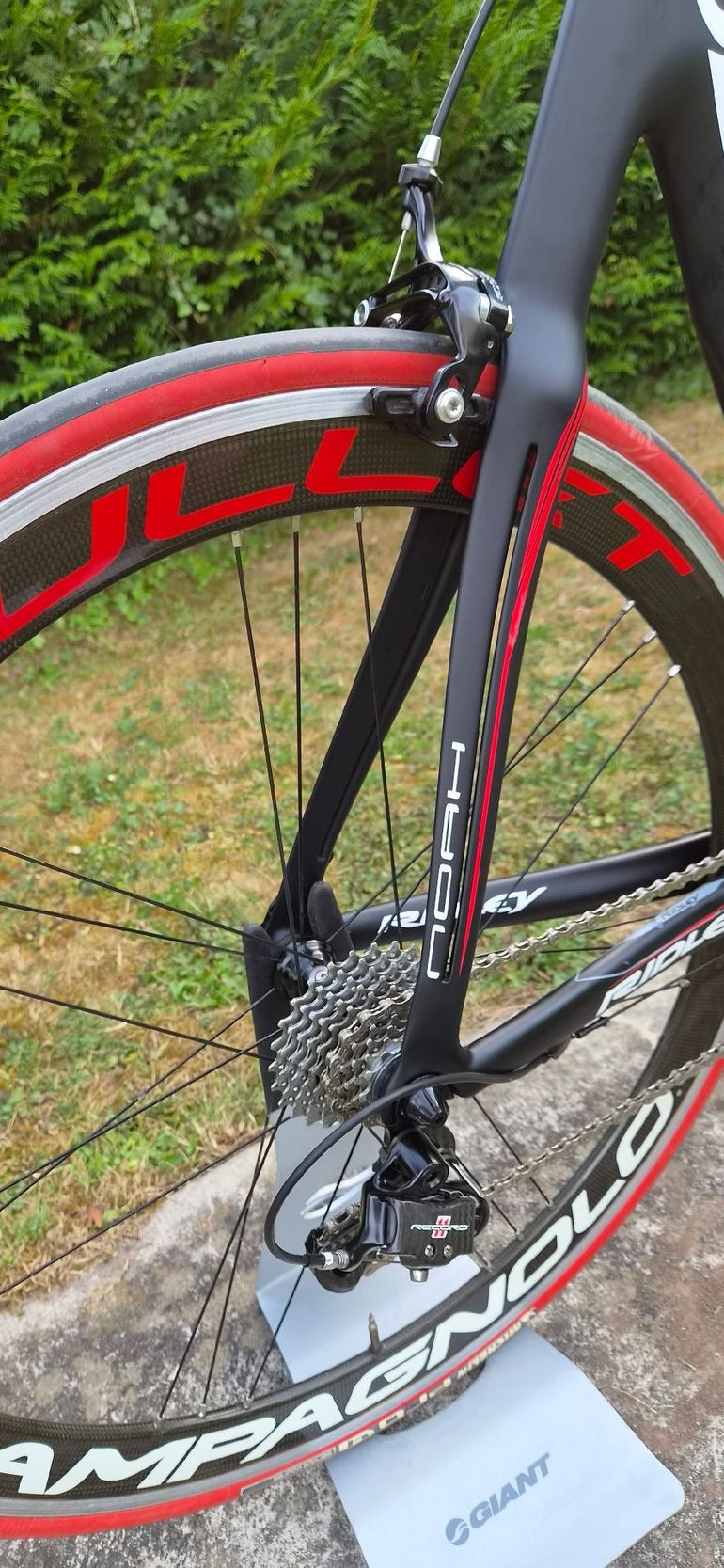 Used Ridley Noah Campagnolo Record 2012 Road & Gravel, Black — image 7 of 10
