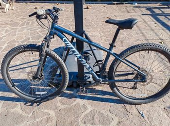 Used Specialized Rockhopper 2023 2023 MTB
