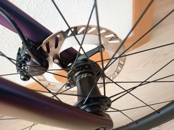 Tweedehands LOOK 795 BLADE RS MODELO EQUIPO PROFESIONAL COFIDIS TOPE GAMA ZIPP Custom Shimano Ultegra Di2 2025 Road & Gravel — afbeelding 7 van 26