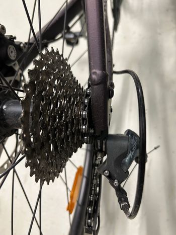 Gebrauchtes Scott Contessa Speedster 15 2023 2023 Road & Gravel, Schwarz — Bild 4 von 4