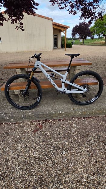 Used Canyon Spectral 125 CF 9 2025 2025 Mountainbike, White, 29 — image 2 of 8