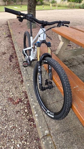 Used Canyon Spectral 125 CF 9 2025 2025 Mountainbike, White, 29 — image 4 of 8