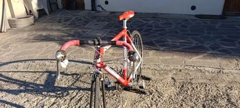Used Colnago Dream - 1998 - Art Decor 11 1998 Road & Gravel, Red — image 17 of 24