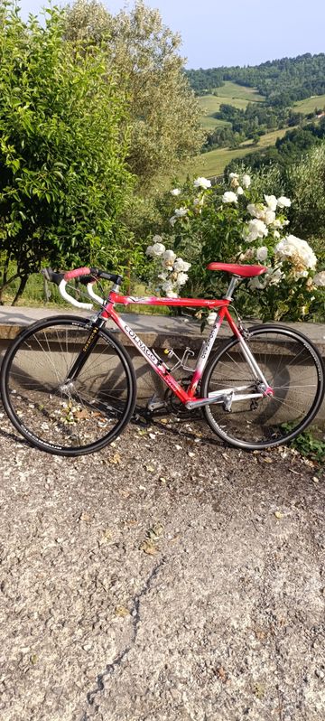Used Colnago Dream - 1998 - Art Decor 11 1998 Road & Gravel