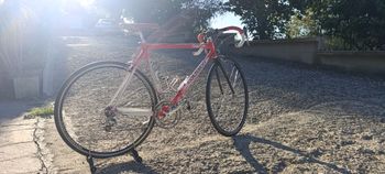 Used Colnago Dream - 1998 - Art Decor 11 1998 Road & Gravel, Red — image 3 of 24