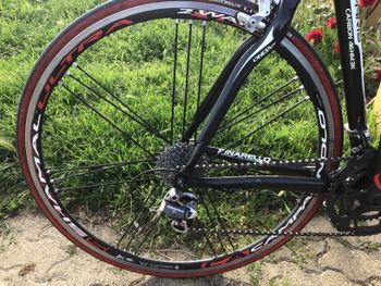 Gebrauchtes Pinarello Paris 2015 Road & Gravel, Rot — Bild 3 von 3
