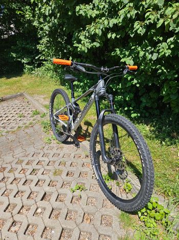 Käytetty Mondraker RAZE 2024 2024 Mountainbike — kuva 4 / 10