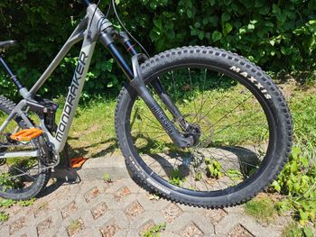 Käytetty Mondraker RAZE 2024 2024 Mountainbike — kuva 9 / 10