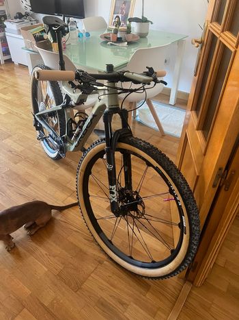 Gebrauchtes Orbea OIZ M30 2022 2022 Mountainbike, Grün — Bild 18 von 21