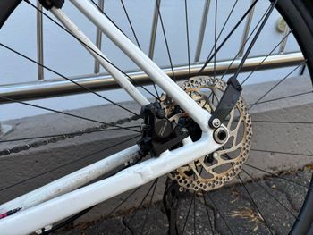 Used Radon R1 Disc 105 Shimano 105 2025 Road & Gravel, White — image 8 of 12