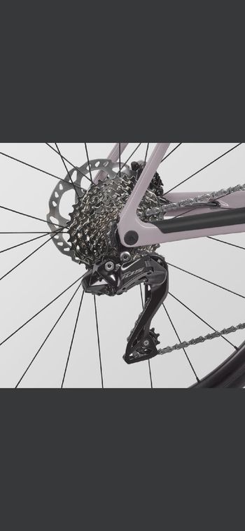 Used Canyon Endurace CF 7 Di2 2026 2026 Road & Gravel, Light Gray — image 4 of 5