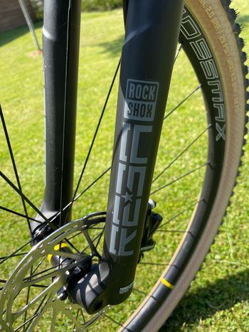 Used ROCKRIDER Race 900 GX EAGLE, ROUE MAVIC 29' 2023 Mountainbike, White — image 9 of 9