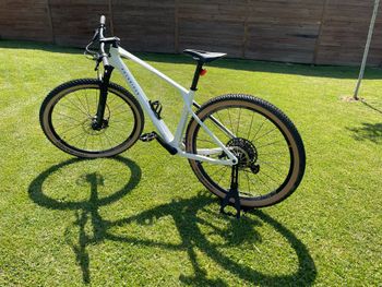 Used ROCKRIDER Race 900 GX EAGLE, ROUE MAVIC 29' 2023 Mountainbike, White — image 3 of 9