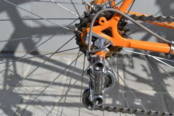 Bartali Custom Campagnolo Record 1967 Road & Gravel d'occasion — image 3 sur 14