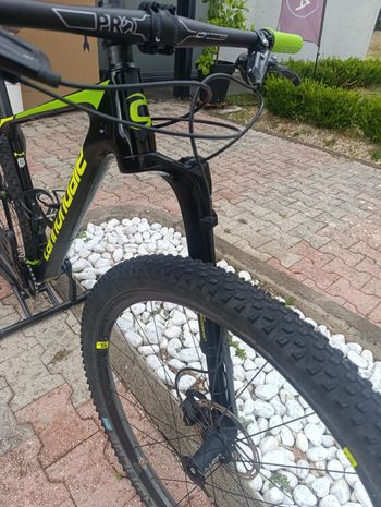 Used Cannondale F Si World Cup 2019 2019 Mountainbike, Black, 29 — image 4 of 7
