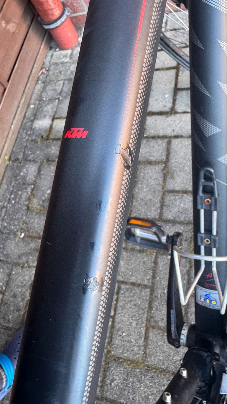 Used KTM/ZEG Veneto Light Disc 2021 2021 Urban, Black — image 4 of 4