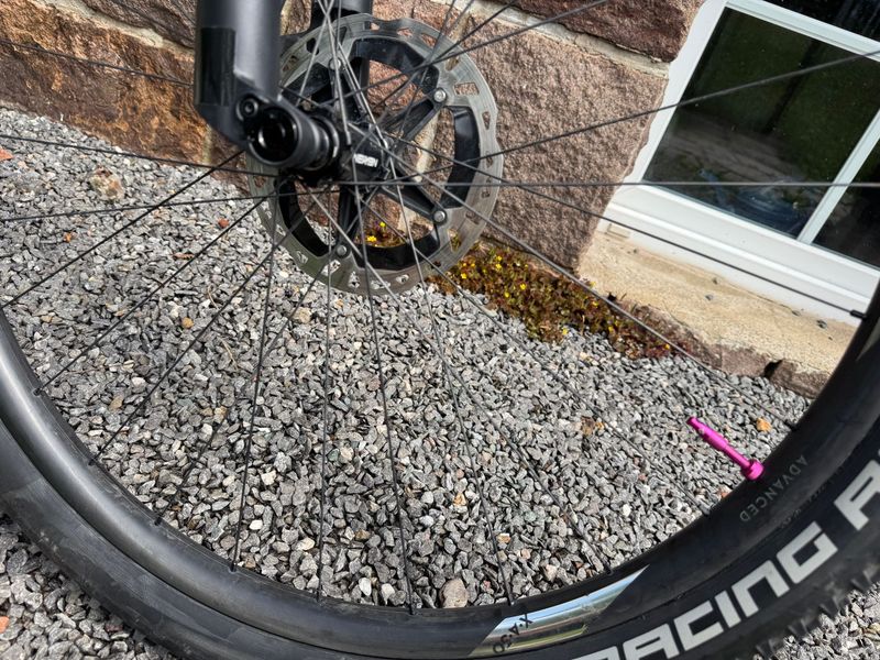 Used Rose PDQ 3 2023 2023 Mountainbike, Black, 29 — image 9 of 17