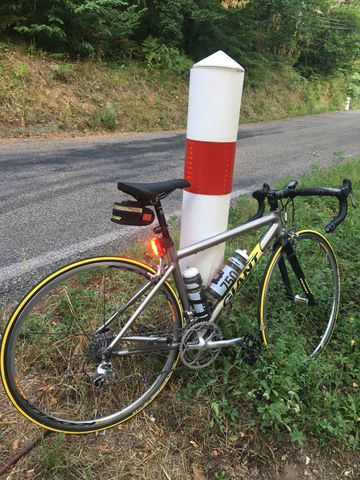 Brugt Giant Alu + Fourche Carbone 2005 Road & Gravel — billede 11 af 12