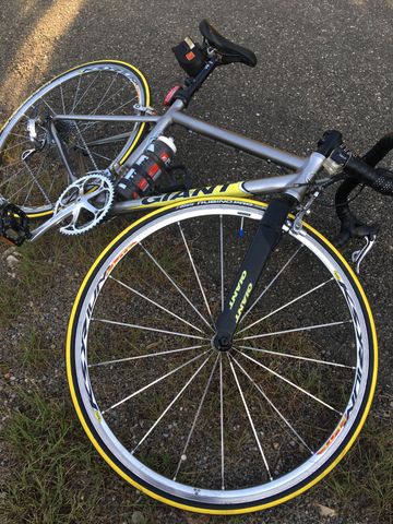 Brugt Giant Alu + Fourche Carbone 2005 Road & Gravel — billede 2 af 12