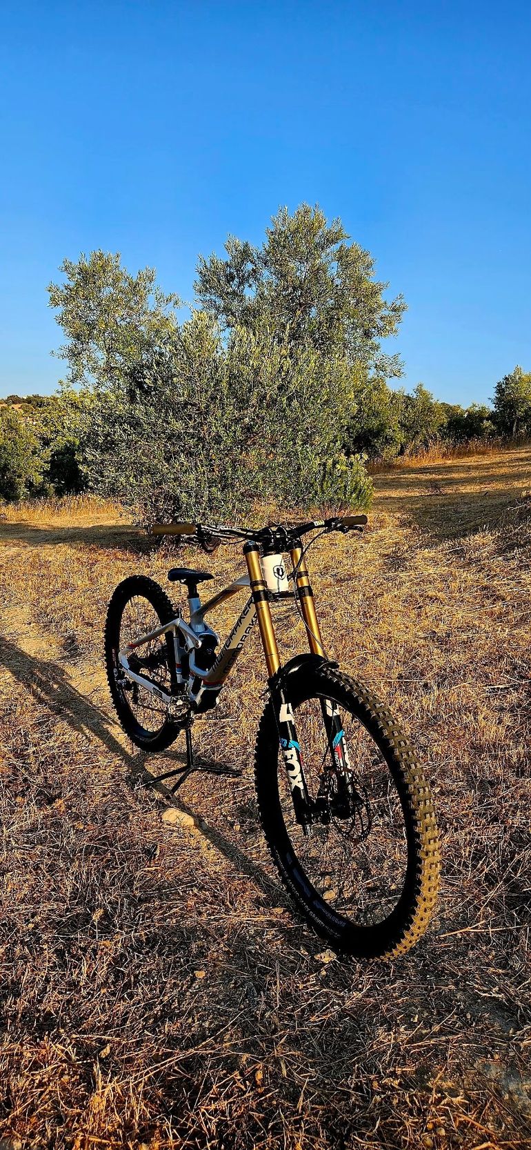 Gebrauchtes Mondraker Summum Shimano Saint 2024 Mountainbike, Weiß — Bild 3 von 22