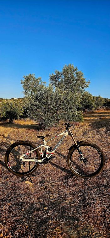 Gebrauchtes Mondraker Summum Shimano Saint 2024 Mountainbike, Weiß — Bild 1 von 22