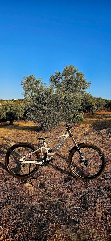 Used Mondraker Summum Shimano Saint 2024 MTB