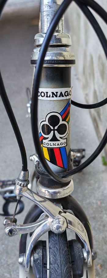 Used Colnago Dream Campagnolo Veloce 2000 Road & Gravel, Light Gray — image 8 of 11