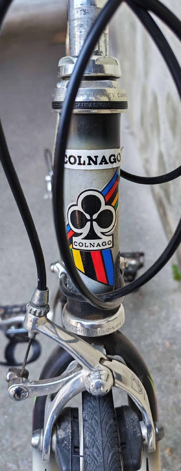 Used Colnago Dream Campagnolo Veloce 2000 Road & Gravel, Light Gray — image 8 of 11