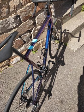 Used Cannondale CAAD13 Disc Tiagra 2024 2024 Road & Gravel, Blue — image 3 of 6