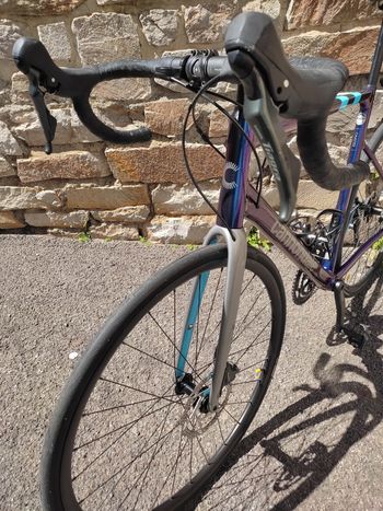 Used Cannondale CAAD13 Disc Tiagra 2024 2024 Road & Gravel, Blue — image 6 of 6