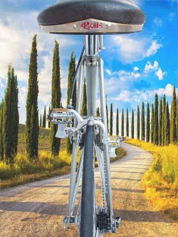 Used Colnago Mexico 1979 Road & Gravel, Light Gray — image 3 of 21
