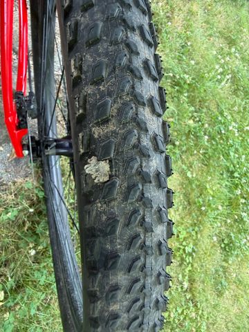 Gebrauchtes Specialized Men's Chisel Comp X1 2019 2019 Mountainbike, Rot, 29 — Bild 16 von 23